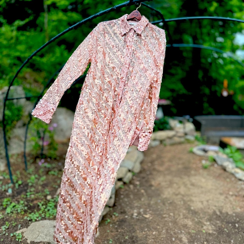 ZARA BUTTON DOWN SEQUINED SHEER DUSTER DRESS - Picture 7 of 14